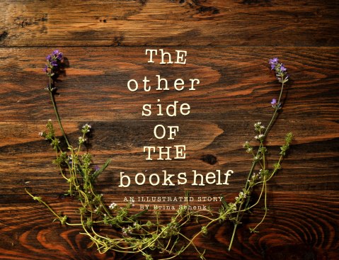 the other side of the bookshelf, an illustrated story by Brina Schenk  - for Wapiti Music Festival